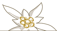 edelweiss-icon